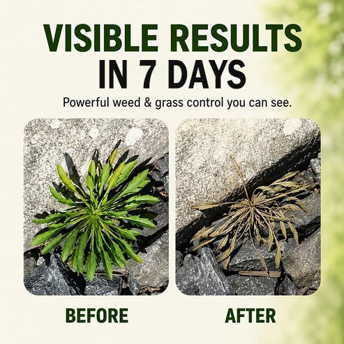 🔥Hot Sale🎁 Fast-Acting Natural Weed & Grass Killer Spray