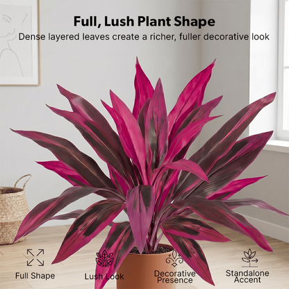 🎁Artificial Boston Fern & Dragon's Blood Tree Plants