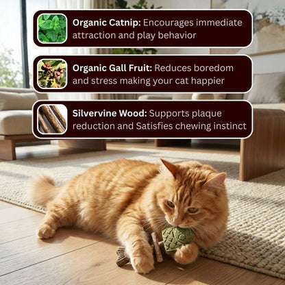 49% OFF - Catnip & Silvervine Chew